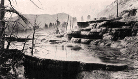 Photograph of Mammoth Hot Springs, Yellowstone National Park